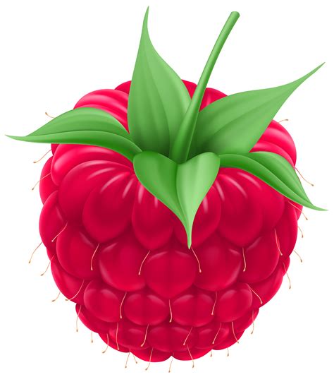 Raspberry Png Clip Art Image Gallery Yopriceville High Quality