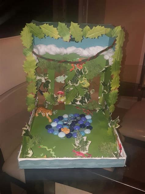 Rainforest Diorama 4th Grade Crafts Projects Shadow Box
