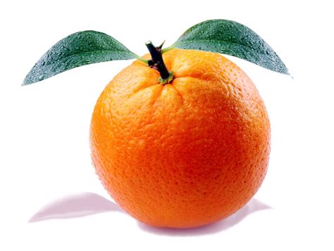 Orange Citrus Fruit · Free Photo On Pixabay