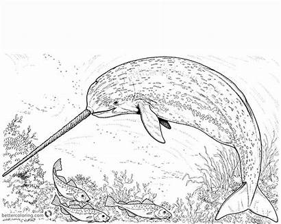 Coloring Realistic Pages Narwhal Arctic Fishes Printable