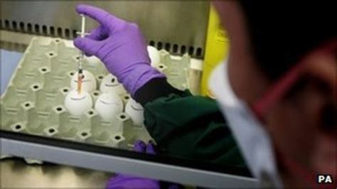 Truro Animal Laboratory Cutting Disease Test Services Bbc News