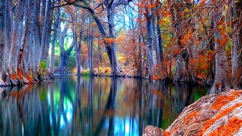 Nature Autumn Stream Backgrounds Wallpapers