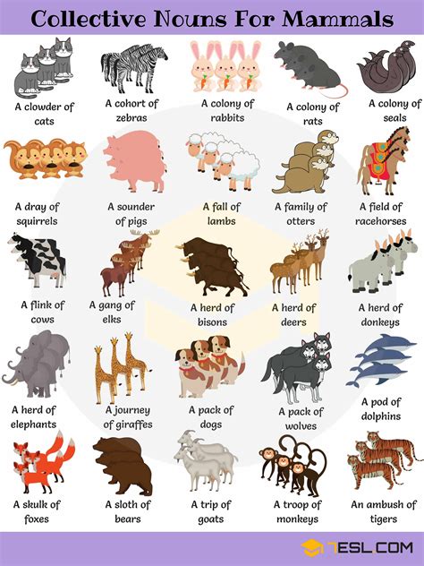 Animal Group Names 250 Collective Nouns For Animals • 7esl
