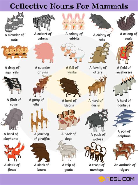 Mammals Examples With Names Pets Lovers