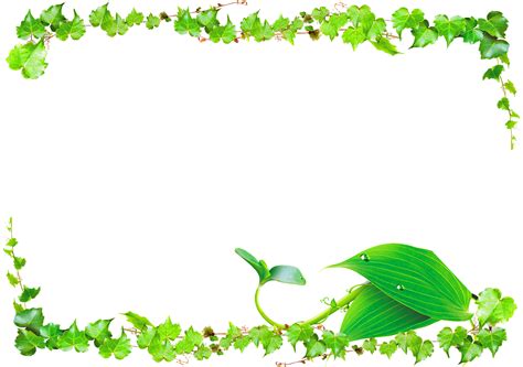 Green Vines Png Transparent Background Vine Border Png Free