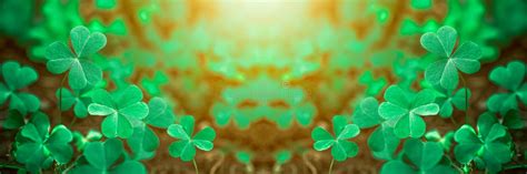 Green Background With Three Leaved Shamrocks Lucky Irish Four Leaf