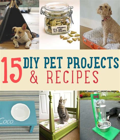 15 Diy Pet Projects And Recipes