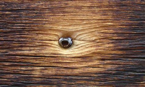 Bullet Hole In Wood