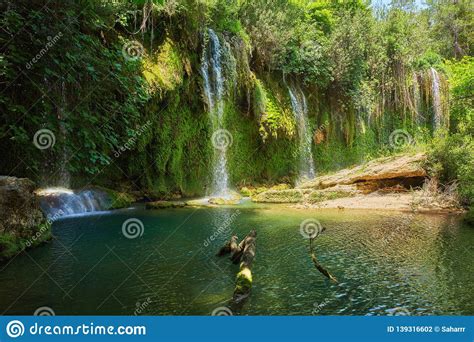 Jungle Beautiful Waterfall Mountain River Stream
