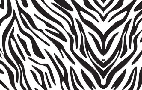 Best Animal Zoo Zebra Print