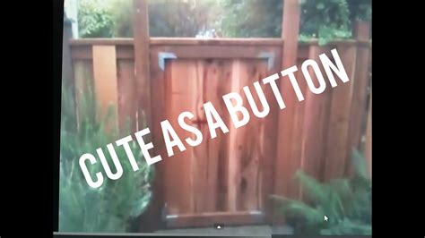 Constructed to any width or height. Garden Gate, How to build, Easy, Simple Design Ideas, Cheap, Sturdy, Non Sag - Cedar Wood - YouTube