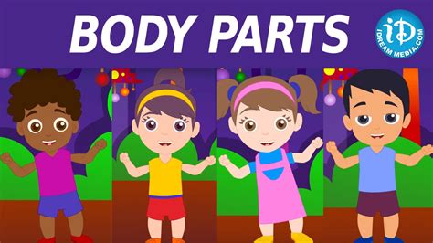 Say the name of a body part out loud and ask the student to move it. Body Parts Song For Kids || Nursery Rhymes || Body Parts ...