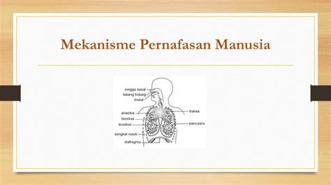 Koleksi soalan percubaan sains pt3, ulangkaji sains pt3, nota sains pt3, contoh soalan & jawapan sains pt3. Nota Ringkas Sains Tingkatan 3 Yang Sangat Bernilai Sains ...