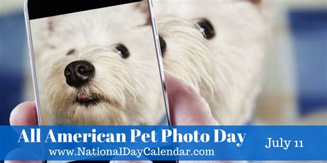 All American Pet Photo Day July 11 Pets Animal Photography Pet