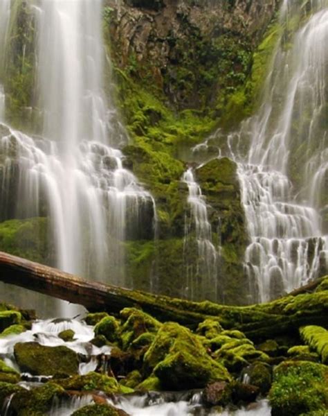 Proxy Falls Waterfall Eugene Cascades And Oregon Coast