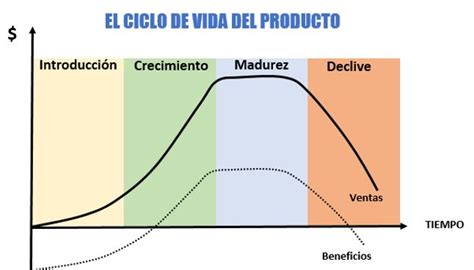 Etapas Del Ciclo De Vida De Un Proyecto The Best Porn Website