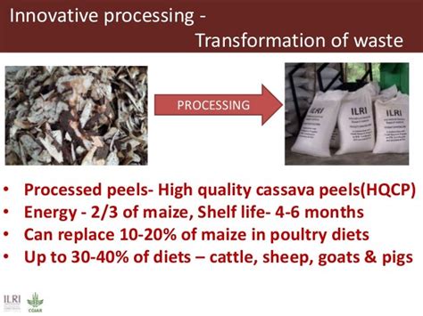 Innovative Processing Of Cassava Peels To Livestock Feeds—a Collabora