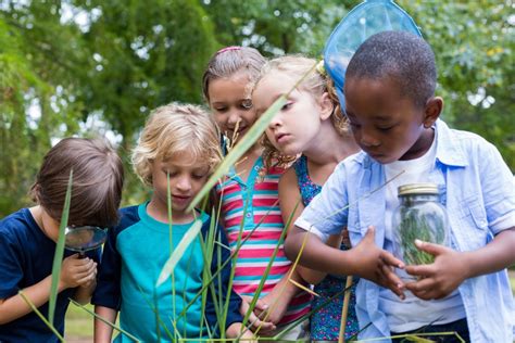 Connecting Children With Nature Through Outdoor Learning