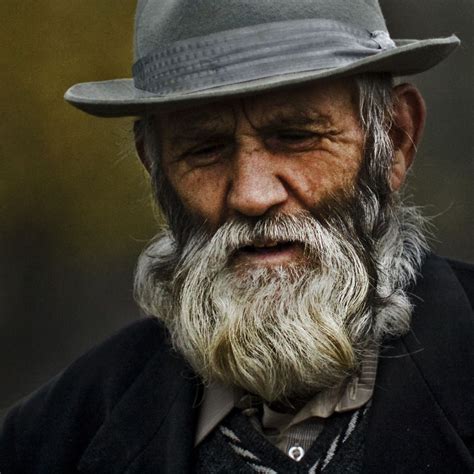 the old man with beard portrait photos old man with beard old man portrait portrait