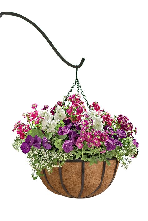 They are a great solution if you are short on remember that plants for hanging baskets will definitely appreciate some water each day, during which you will get to admire the abundant floral. Pots and Planters Hanging Planters