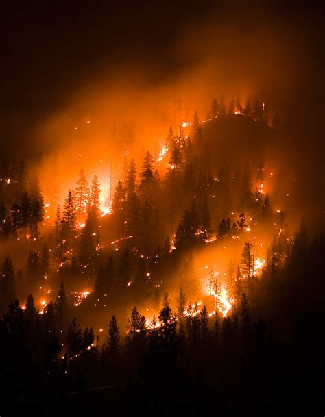 Montana Wildfire Forest Fire A Hillside Burns In Lolo Nat Flickr