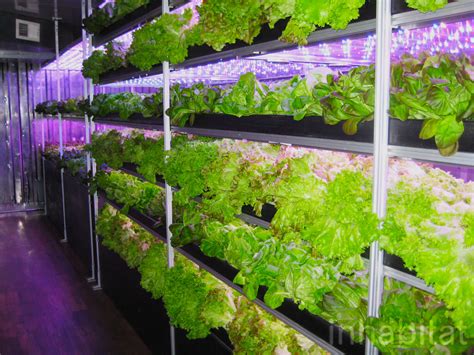 Vertical Farming Inhabitat Green Design Innovation Architecture