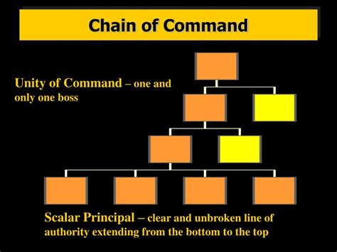 Blank Chain Of Command Chart Template