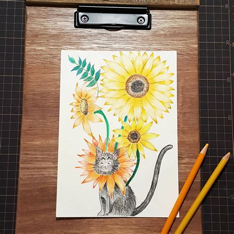 絢麗夏天‒向日葵插畫。新竹色鉛筆。初階班課程 露台上的波麗