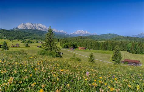 Wallpaper Forest Landscape Flowers Mountains Home Germany Bayern