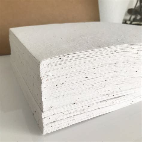 A4 Seed Paper Bulk Plantable Paper A4 Handmade Sheets Blank Etsy Uk