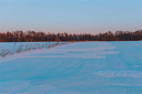 Snow Field · Free Stock Photo
