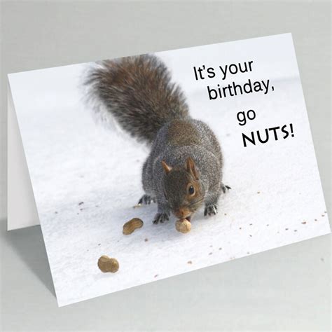 Birthday Card Funny Birthday Cards Squirrel Birthday Etsy