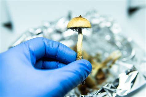 Will Australia Legalise Ecstasy And Magic Mushrooms To Treat Mental