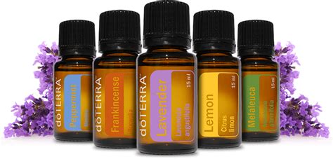Doterra Essential Oils New Vibes Health And Acupuncture