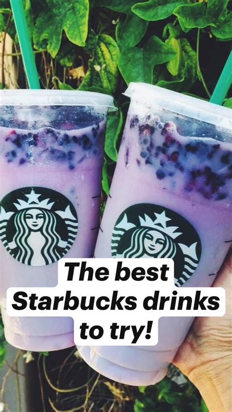 The Best Starbucks Drinks To Try An Immersive Guide By Payton