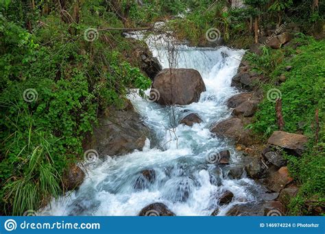 Mountain River Stream Waterfall Fresh Forest Landscape