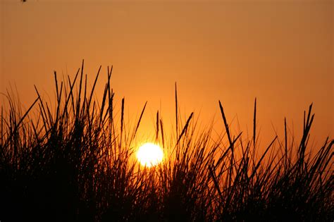Wallpaper Sunset Summer Sky Sun Holland Beach Nature Grass