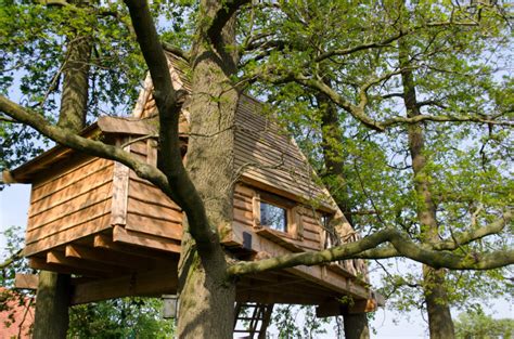 70 Fun Kids Tree Houses Picture Ideas And Examples Home Stratosphere