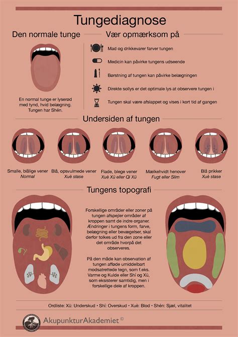 Tongue Diagnosis Chart Clinical Charts And Supplies Vrogue Co