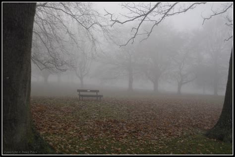 Foggy Autumn Day Flickr Photo Sharing