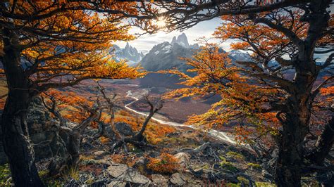 1366x768 Beautiful Autumn Colours In Patagonia 4k 1366x768 Resolution