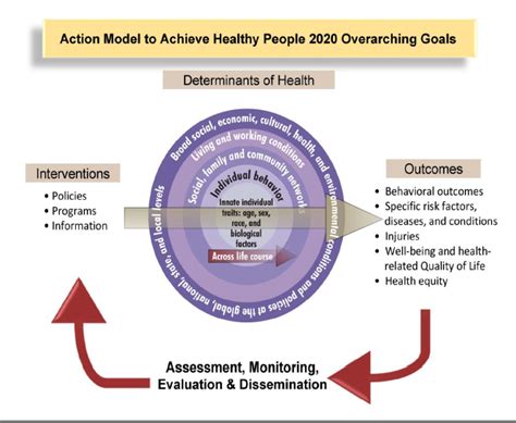 Action Model to Achieve Healthy People 2020 Goals