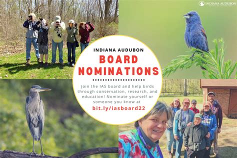 Seeking Nominations For The Ias Board Indiana Audubon Society