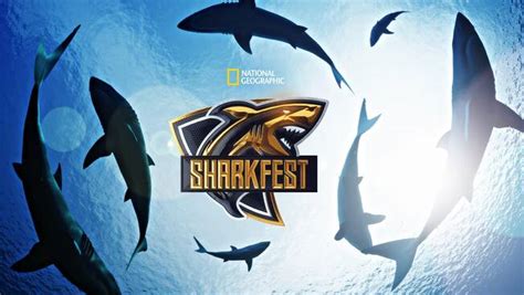 National Geographics Sharkfest 2020 Is Now Playing Abc Updates