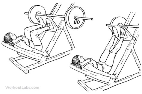 Leg Press Fitness Stars