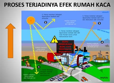 Pembahasan Soal Un Biologi Sma Paket 2 Tahun 2015 2016 ...