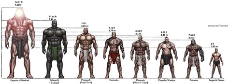 The Human Body Is Shown With Different Types Of Muscles And Their
