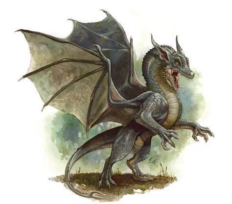 Gray Dragon Dungeons And Dragons Dragons Fandom Powered By Wikia