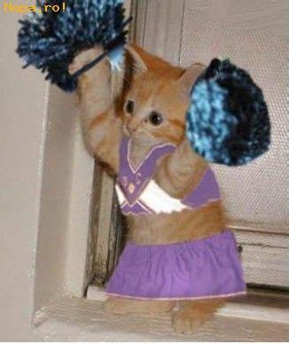 Top Cat Cheerleaders Michelle Rock Xxx Porn