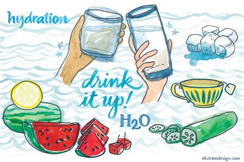 Stay Hydrated Clip Art 10 Free Cliparts Download Images On Clipground